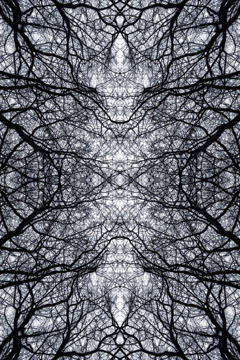 kaleidoscoop