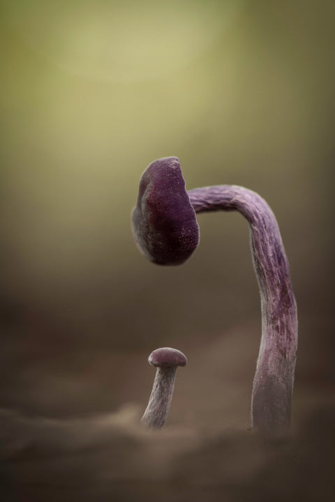 Komt wel goed jongen